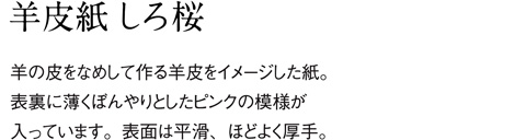 aru 名刺の紙サンプル 羊皮紙 しろ桜