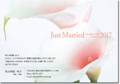 Monthly PlannerJ_[̃Tl[