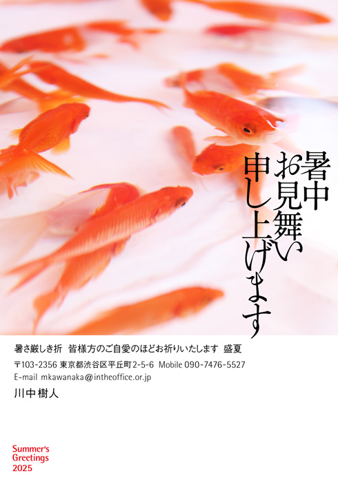 通知はがき