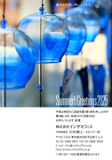 S010