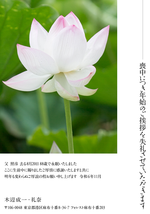 喪中欠礼はがき