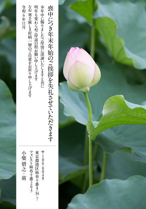 喪中欠礼はがき